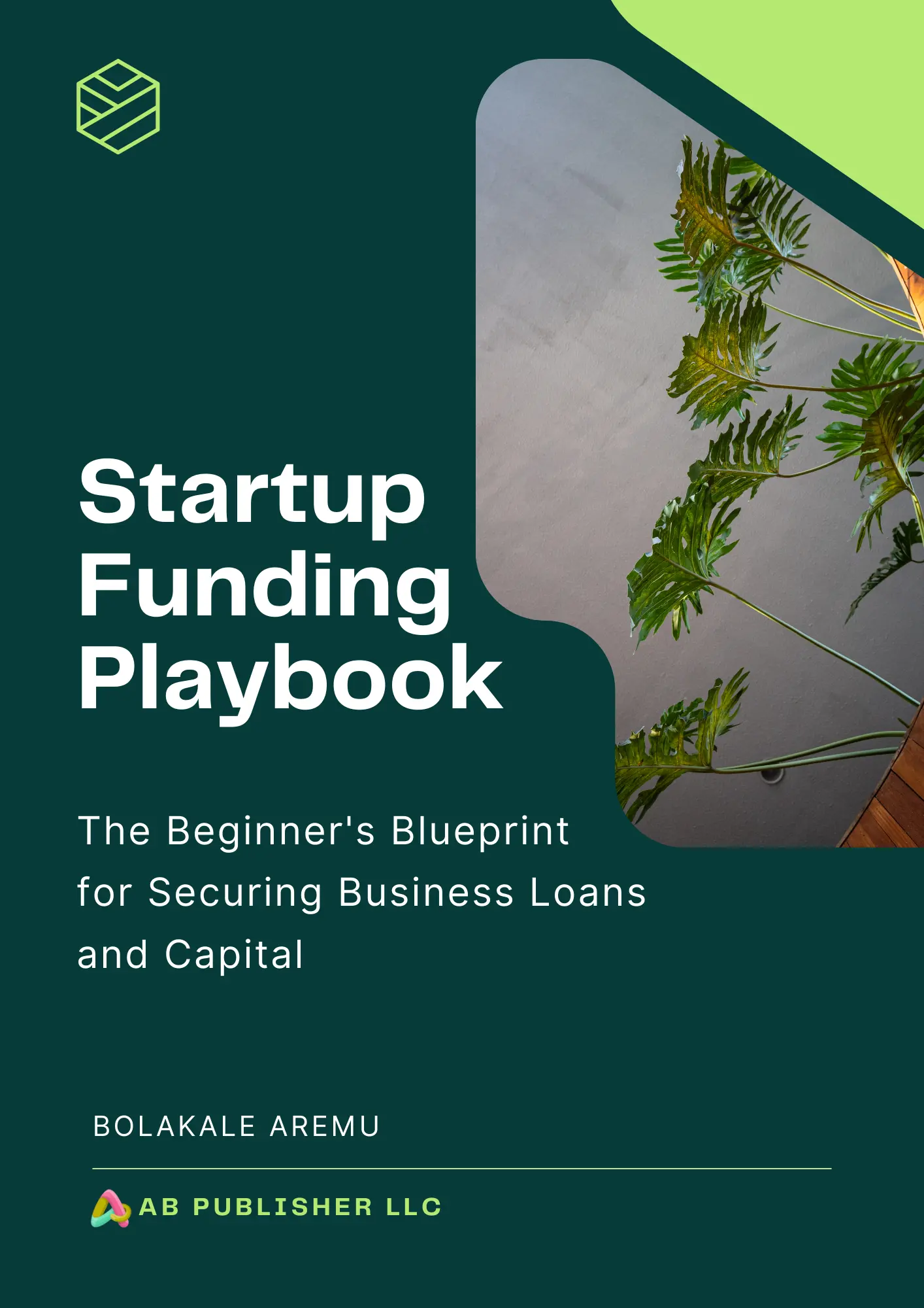 Startup Funding Playbook English edition